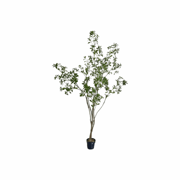Artificial Pieris Japonica Plant