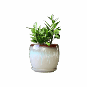 Large Ceramic Planter