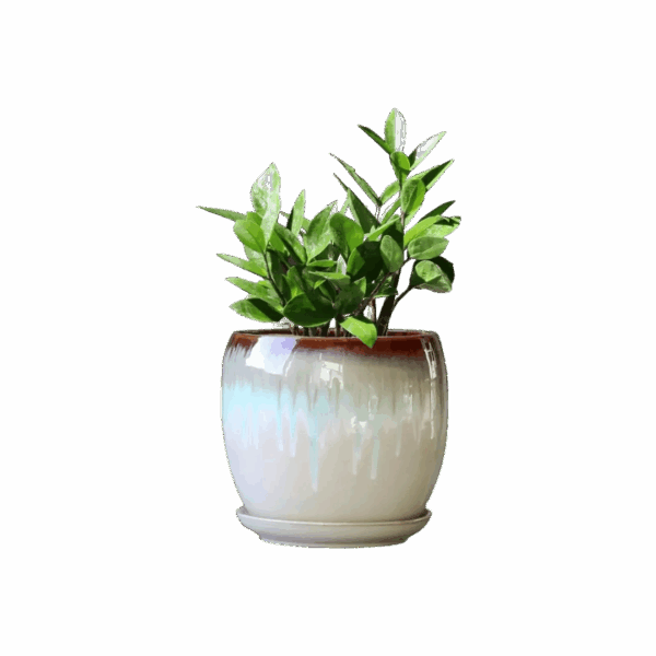 Large Ceramic Planter